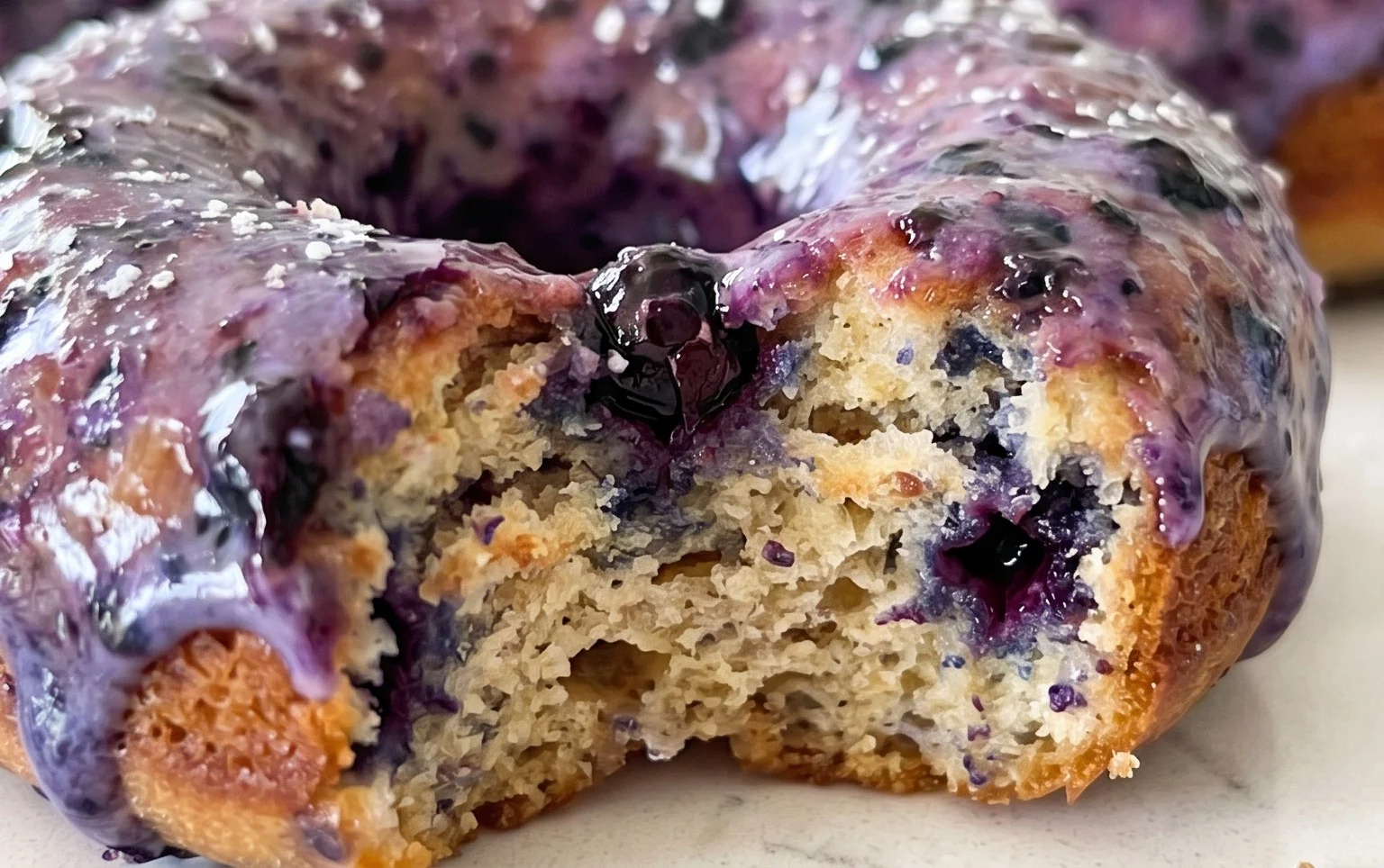 Wild Blueberry Cake Donuts